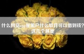 什么网贷app是黑户什么软件可以借到钱？这几个就是