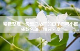 精选整理一份黑户必下的口子有吗小额贷款名单，精选分享
