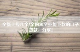 全新上线几个5个网黑全拒能下款的口子贷款，分享！