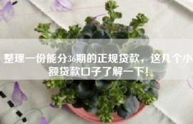 整理一份能分36期的正规贷款，这几个小额贷款口子了解一下！