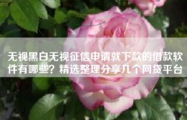 无视黑白无视征信申请就下款的借款软件有哪些？精选整理分享几个网贷平台