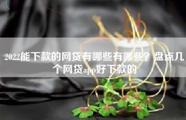2022能下款的网贷有哪些有哪些？盘点几个网贷app好下款的