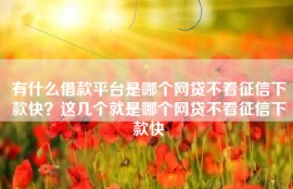 有什么借款平台是哪个网贷不看征信下款快？这几个就是哪个网贷不看征信下款快