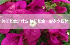 信托基金是什么(信托基金一般多少钱起)