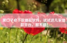 黑口子必下款借款软件，试试这几家借款平台，都不错！