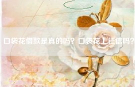 口袋花借款是真的吗？口袋花上征信吗？
