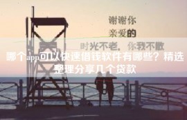 哪个app可以快速借钱软件有哪些？精选整理分享几个贷款