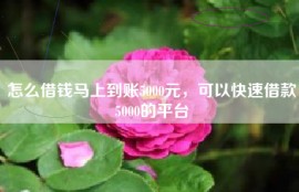 怎么借钱马上到账5000元，可以快速借款5000的平台