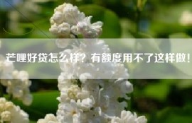 芒哩好贷怎么样？有额度用不了这样做！