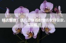 精选整理！借几百块钱的借钱软件贷款，不容错过