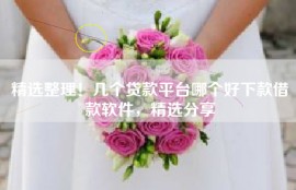 精选整理！几个贷款平台哪个好下款借款软件，精选分享