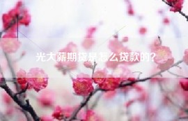 光大薪期贷是怎么贷款的？