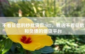 不看征信的秒批贷款2022，甄选不看征信和负债的借贷平台