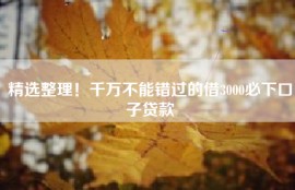 精选整理！千万不能错过的借3000必下口子贷款