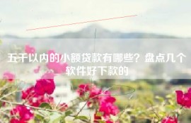 五千以内的小额贷款有哪些？盘点几个软件好下款的