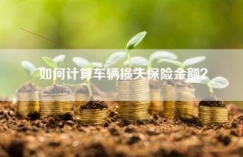 如何计算车辆损失保险金额？