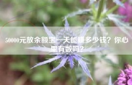 50000元放余额宝一天能赚多少钱？你心里有数吗？