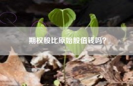 期权股比原始股值钱吗？