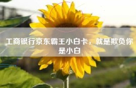 工商银行京东霸王小白卡，就是欺负你是小白