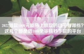 2022借款1000元能马上放款的口子有哪些？这几个都是借1000免审核秒下款的平台