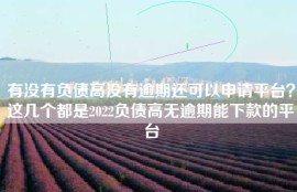 有没有负债高没有逾期还可以申请平台？这几个都是2022负债高无逾期能下款的平台