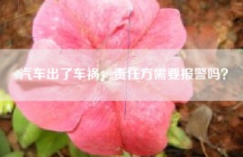 汽车出了车祸，责任方需要报警吗？