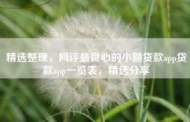 精选整理，网评最良心的小额贷款app贷款app一览表，精选分享