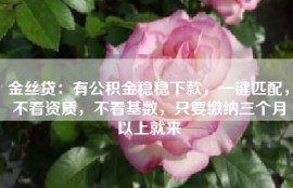 金丝贷：有公积金稳稳下款，一键匹配，不看资质，不看基数，只要缴纳三个月以上就来