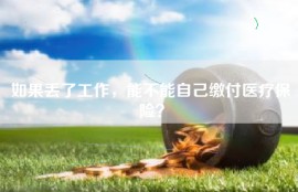 如果丢了工作，能不能自己缴付医疗保险？