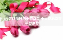 100%可以借钱的小额贷款 十大良心贷款平台推荐