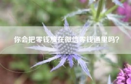 你会把零钱放在微信零钱通里吗？