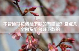 不管逾期负债能下款的有哪些？盘点几个网贷平台好下款的