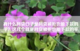 有什么网贷口子是网贷被拒也能下款的平？这几个就是网贷被拒也能下款的平