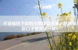 不审核秒下款的小额贷款名单，这些借款口子值得试一试！