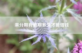 来分期有逾期多久才能借钱