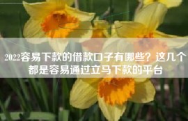 2022容易下款的借款口子有哪些？这几个都是容易通过立马下款的平台