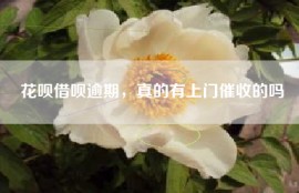 花呗借呗逾期，真的有上门催收的吗