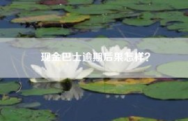 现金巴士逾期后果怎样？