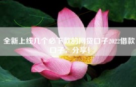 全新上线几个必下款的网贷口子2022借款口子，分享！