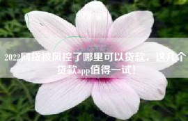 2022网贷被风控了哪里可以贷款，这几个贷款app值得一试！