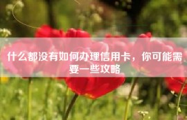 什么都没有如何办理信用卡，你可能需要一些攻略