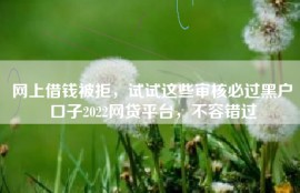 网上借钱被拒，试试这些审核必过黑户口子2022网贷平台，不容错过