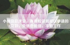 小额贷款速贷，有微粒贷就可以申请的贷款，负债也能借，不看工作