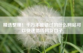精选整理！千万不能错过的什么网站可以快速借钱网贷口子