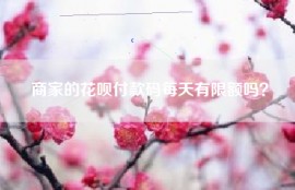 商家的花呗付款码每天有限额吗？