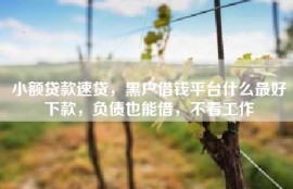 小额贷款速贷，黑户借钱平台什么最好下款，负债也能借，不看工作