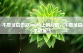 不看征信借款3000马上到账的，不看征信小额借钱