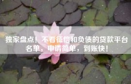 独家盘点！不看征信和负债的贷款平台名单，申请简单，到账快！