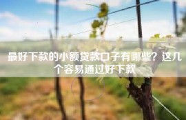 最好下款的小额贷款口子有哪些？这几个容易通过好下款