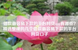 借款最容易下款的平台网贷app有哪些？精选整理的几个借款最容易下款的平台网贷口子